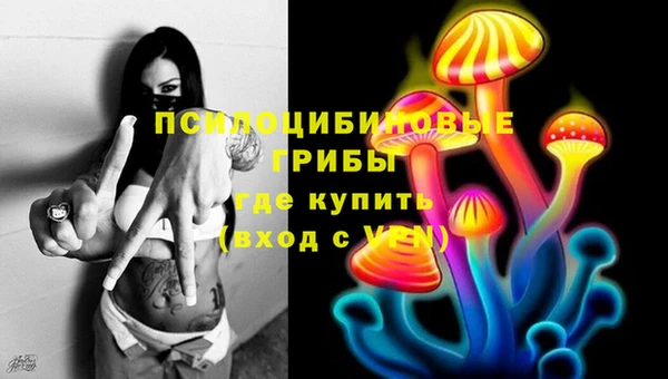 дживик Алексеевка