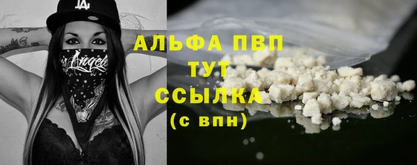 метадон Алексин