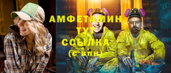 метадон Алексин