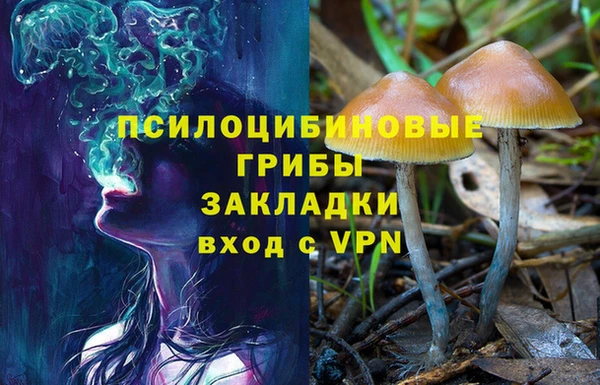 дживик Алексеевка